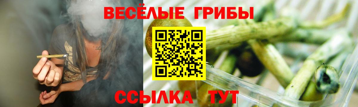 Вологда  наркотики  Вход с VPN  Галлюциногенные грибы ЛСД 